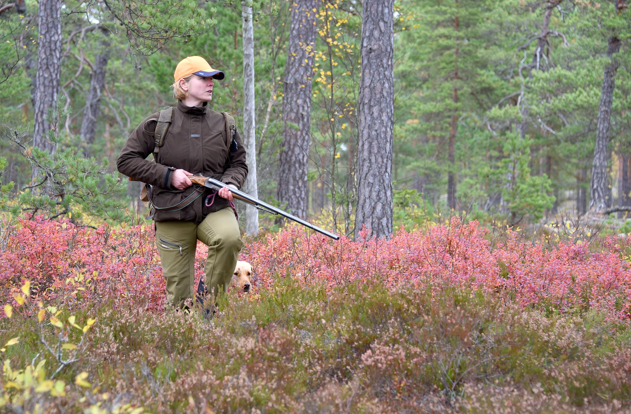 Metsästävä nainen ja koira varvikossa