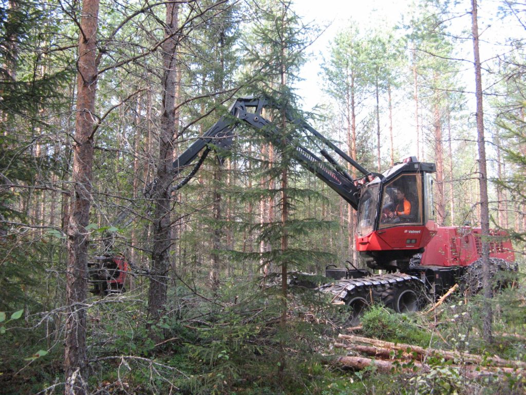 Metsäkone harvennushakkuulla.