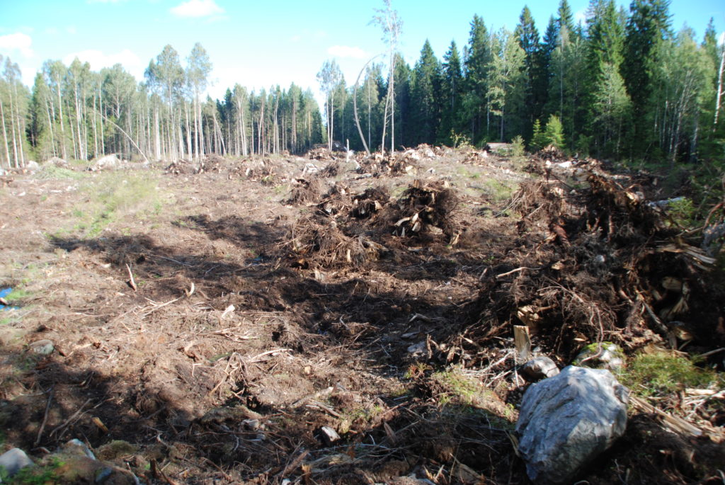 Kantojen noston jälkeä.