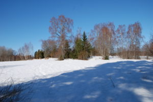 talvinen pellonreuna