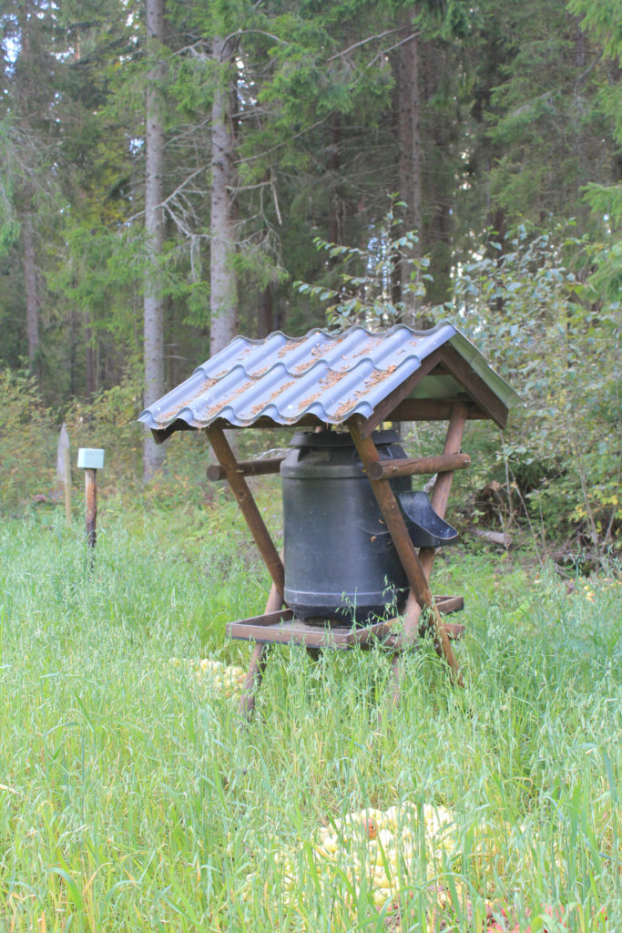 ruokintapaikka