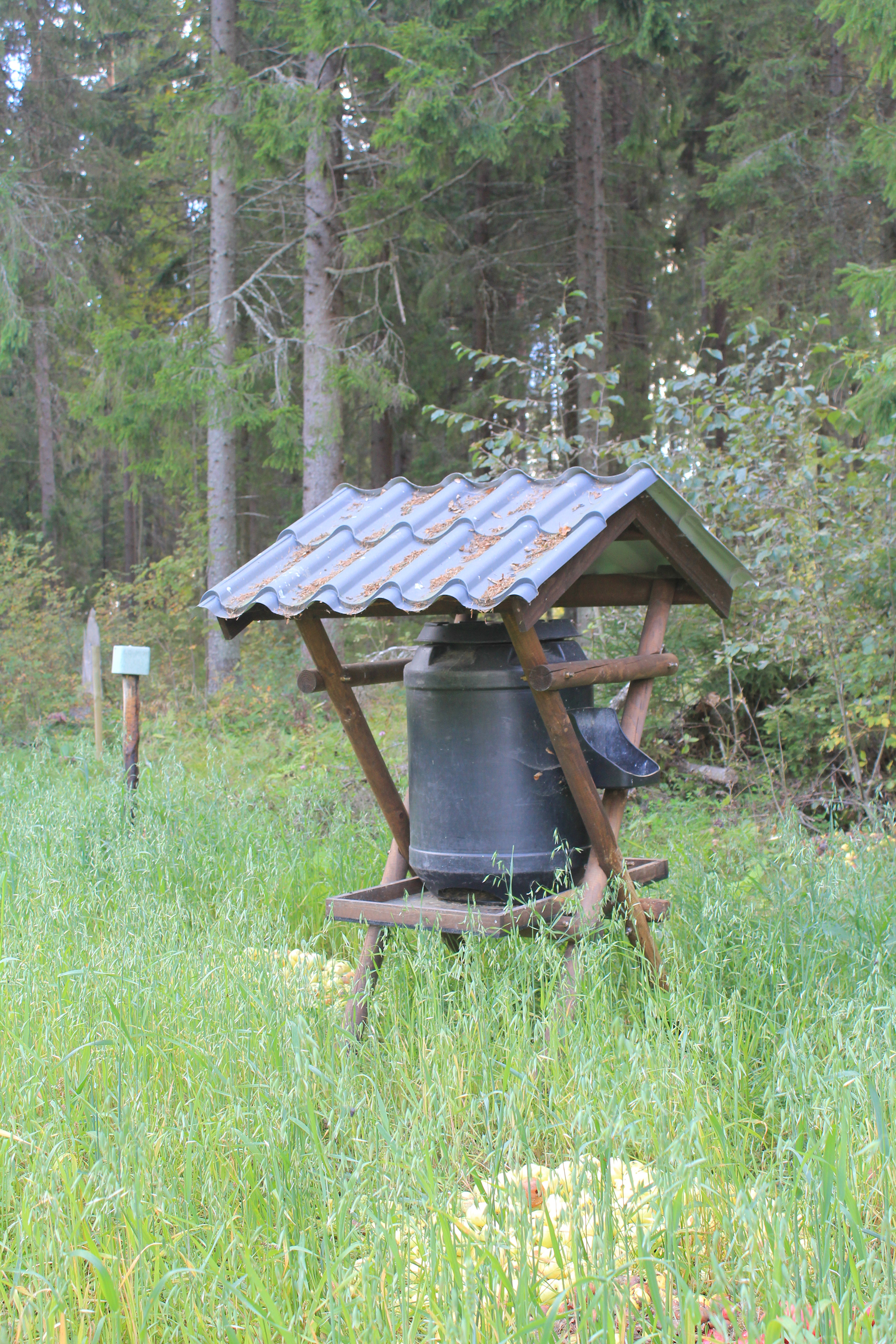 Ruokinta-automaatti ja nuolukivi maastossa.