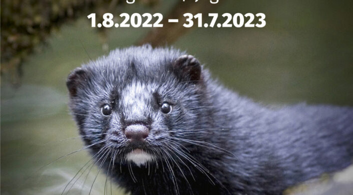 Metsästyskortin kuva