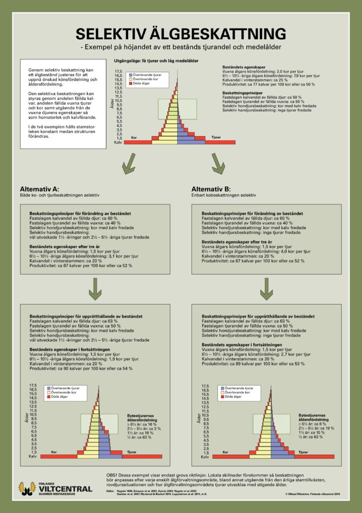 Selektiv älgbeskatting -affisch (PDF)