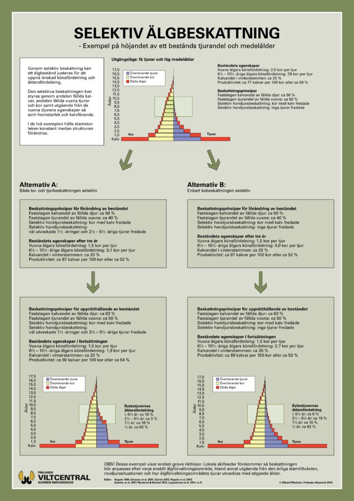 Selektiv älgbeskatting -affisch (PDF)