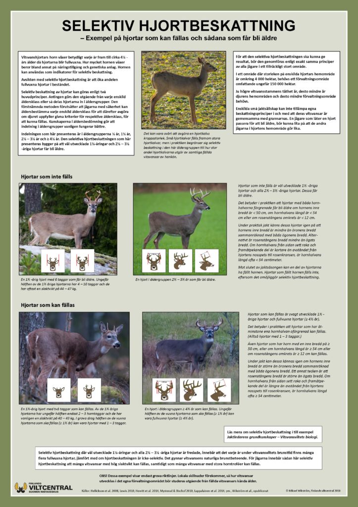 Selektiv hjortbeskattning affisch.