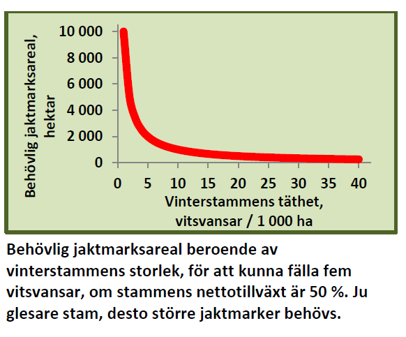 Behövlig jaktmarksareal är 2000 hektar on stammens täthet är 5 vitsvansar per 1000 hektar, men bara 500 hektar om tätheten är 20 vitsvansar per 1000 hektar.