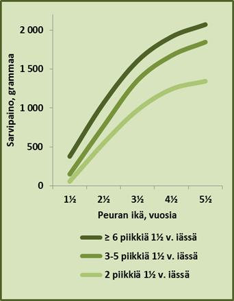 Kaavion mukaan 5,5 vuotiaan uroksen sarvet voivat painaa 1300 grammasta yli 2000 grammaan. 