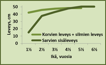 Kaavion mukaan noin 4,5 vuotiaan uroksen sarvien sisäleveys on suurempi kuin korvien leveys + silmien leveys.