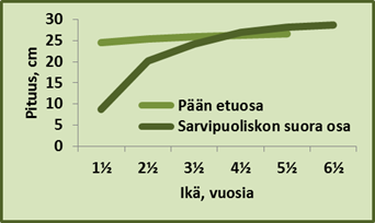 Kaavion mukaan noin 4,5 vuotiaalla uroksella sarven yläosan pituus ylittää pään etuosan pituuden.