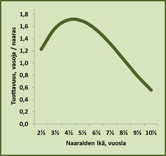 Naaras on tuottavimmillaan 4-6 vuotiaana.