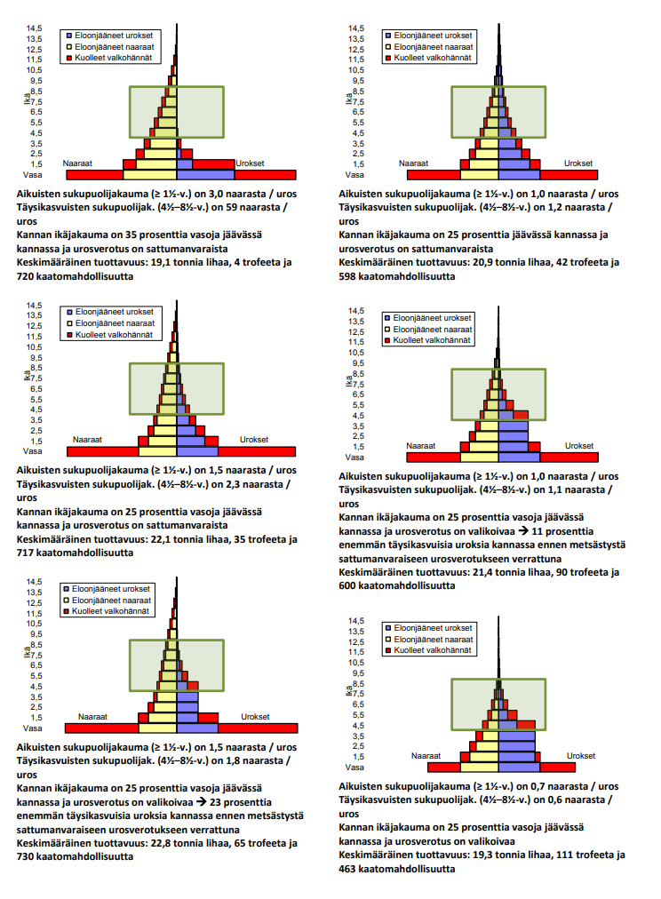 Kaavioissa on esitetty peurakannan sukupuoli- ja ikäjakaumajakauman sekä valikoivan urosverotuksen vaikutus kannan tuottavuuteen erilaisissa kannanverotusmalleissa.