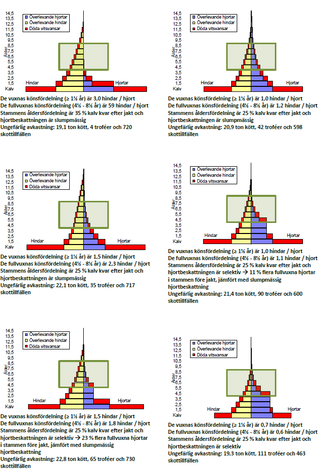 Exempel visar hur bestånd kan utformas beroende av beskattningsprinciper, könsfördelnin och åldersfördelning.
