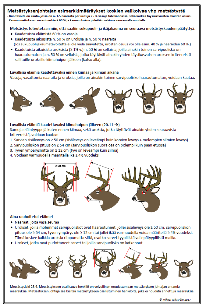 Esimerkkiohje valikoivaan metsästykseen, kun tavoitteena on kanta, jossa on 1,5 naarasta per uros ja 25% vasoja talvikannassa, sekä korkea täysikasvuisten yksilöiden osuus. Kannan koko halutaan pitää vakaana. Kaadetuista eläimistä 60% on vasoja, kaadetuista aikuisista puolet on uroksia ja puolet naaraita, mikäli sukupuolitavoite on saavutettu. Kaadetuista aikuisista uroksista puolet on nuoria, pienisarvisia yksilöitä, puolet täysikasvuisen uroksen kriteerit täyttäviä. Täysikasvuisia uroksia ammutaan vasta kiimahuipun jälkeen.