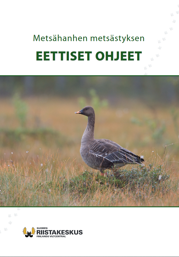 Metsähanhen metsästyksen eettiset ohjeet 