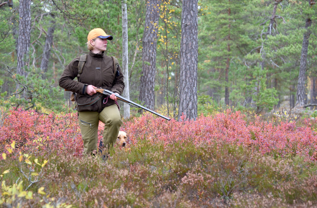 En jägare och hund går mitt i ljungen.