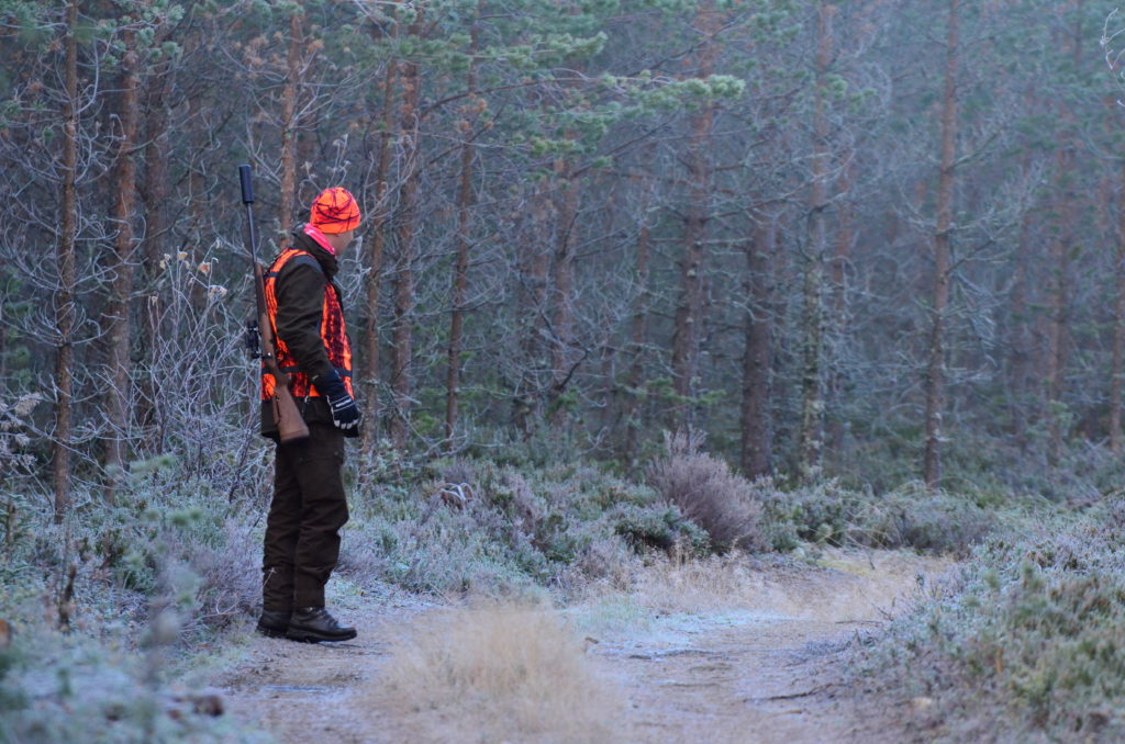 Hirvenmetsästäjä seisoo passipaikalla ase selässä.