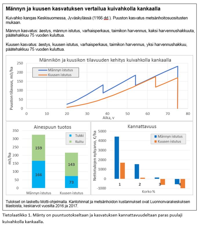 Tietolaatikko 1. Kaaviokuvat osoittavat, että 75 vuoden kietoajalla mänty on kuusta tuottavampi ja kannattavampi puulaji kuivahkolla kankaalla.