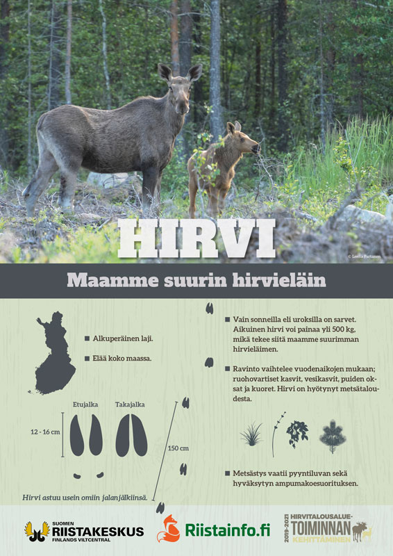 Hirvijuliste (PDF)