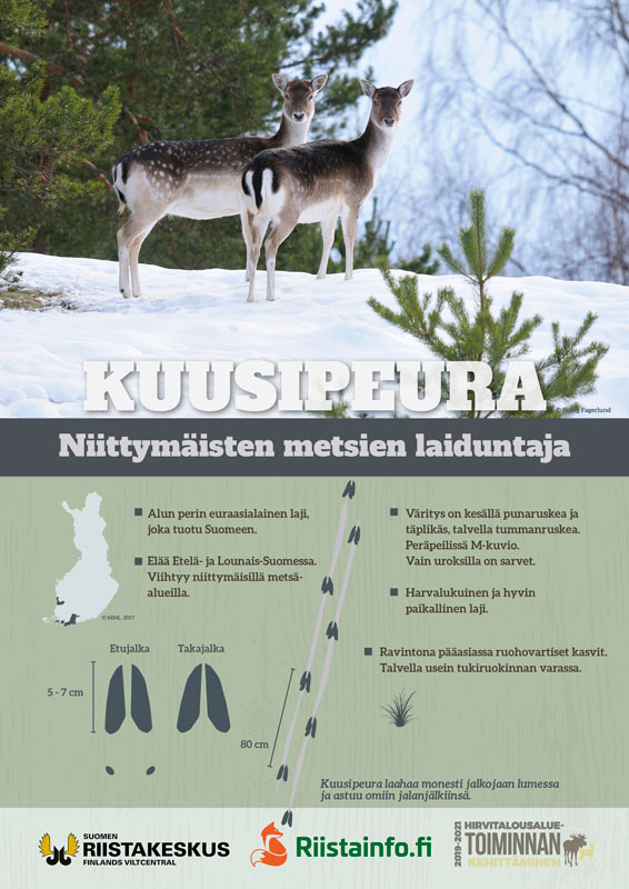 Kuusipeurajuliste (PDF)