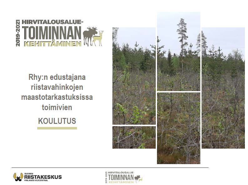 Rhy:n edustajana riistavahinkojen maastotarkastuksissa toimivien koulutus -esityksen aloitusdia, jossa kuva taimikosta. Linkki vie esitykseen (PDF). 