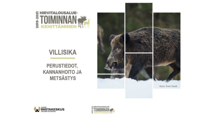 Aloitusdia Villisika - perustiedot, kannanhoito ja metsästys -koulutuspaketista.