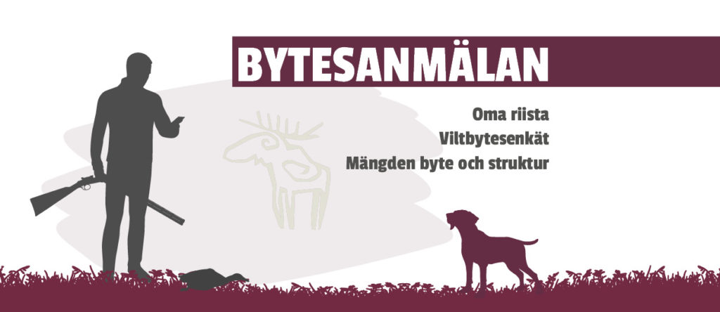 Huvudrubrik: Bytesanmälan. Underrubriker: Oma riista, Viltbytesenkät, Mängden byte och struktur.