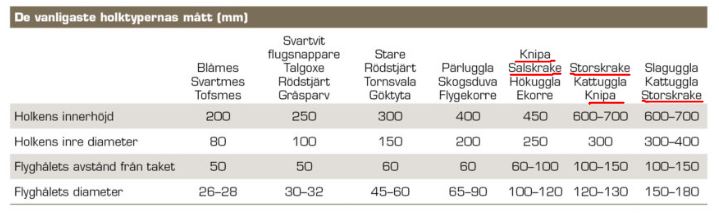 De vanligaste holktypernas mått, tabell.