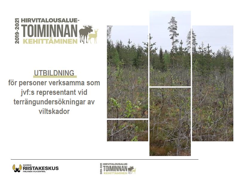 Utbildning för personer verksamma som jvf:s representant vid terrängundersökningar av viltskador -presentation. Link till presentation (PDF). 