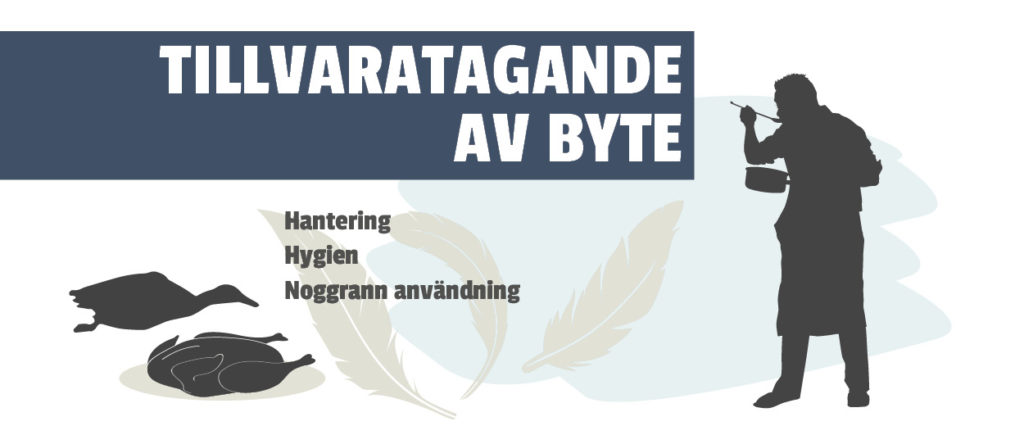 Huvudrubrik: Tillvaratagande av byte. Underrubriker: Hantering, Hygien, Noggrann användning.