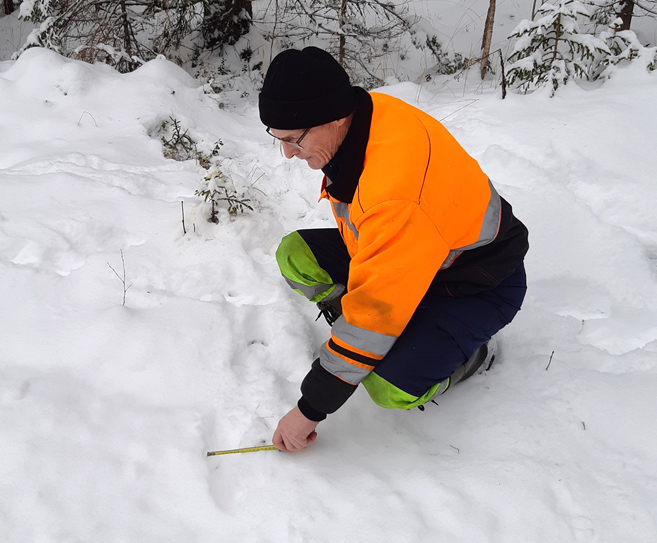 Valokuva, jossa mies mittaa työntömitalla lumesta jälkeä.
