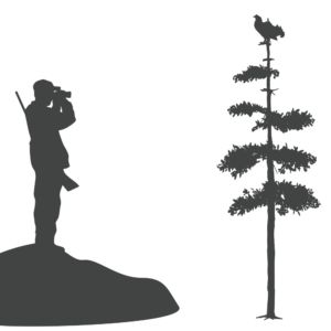En tecknad bild av en person som genom kikare iakttar en orre i toppen av ett träd.