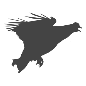 En tecknad silhuett av en flygande orre.