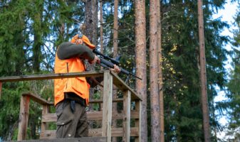 Oranssiin liiviin ja lakkiin pukeutunut metsästäjä ampuu alaviistoon hirvitornista kuulosuojaimet korvillaan.