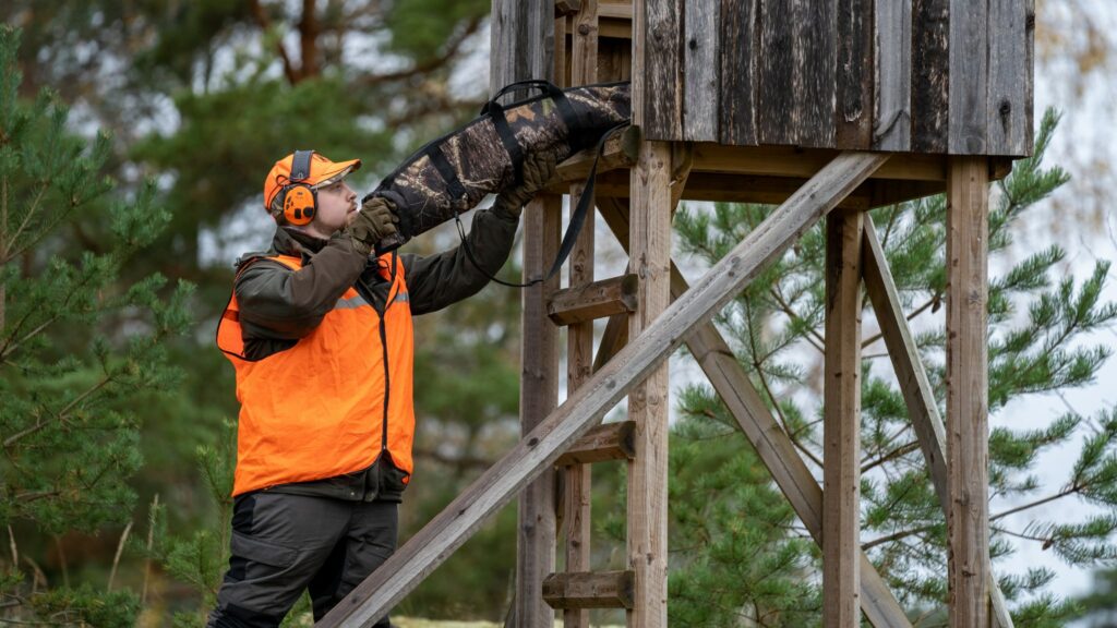 En jägare i orange väst och mössa samt med hörselskydd lyfter ett vapen i ett vapenfodral upp i ett älgtorn.