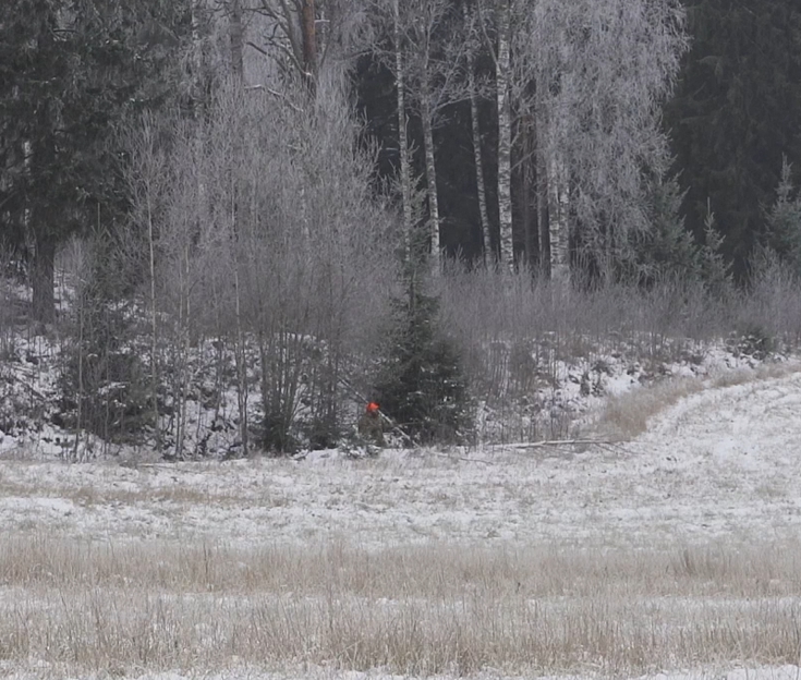 I diket en jägare med orangefärgad huvudbonad.