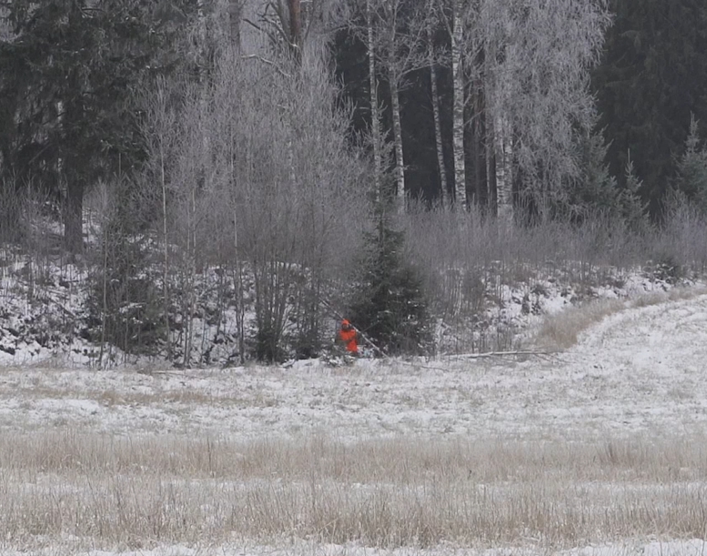 En jägare klädd i orangefärgad huvudbonad och väst i diket.