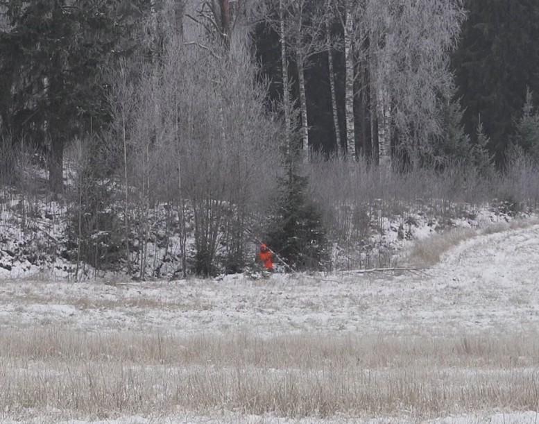 Oranssilakkinen ja -liivinen metsästäjä ojassa.