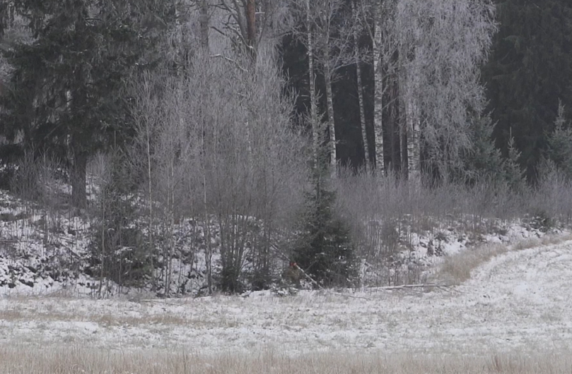 Huomioväritön metsästäjä ojassa.