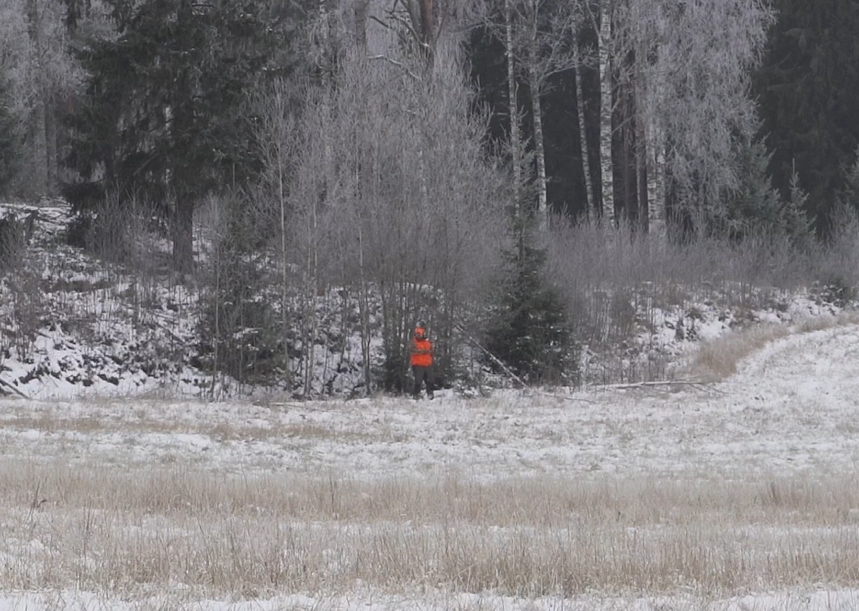 Oranssilakkinen ja -liivinen metsästäjä pellon laidassa.