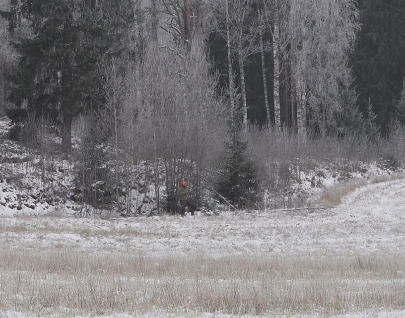 Vid kanten av fältet en jägare med orangefärgad huvudbonad.
