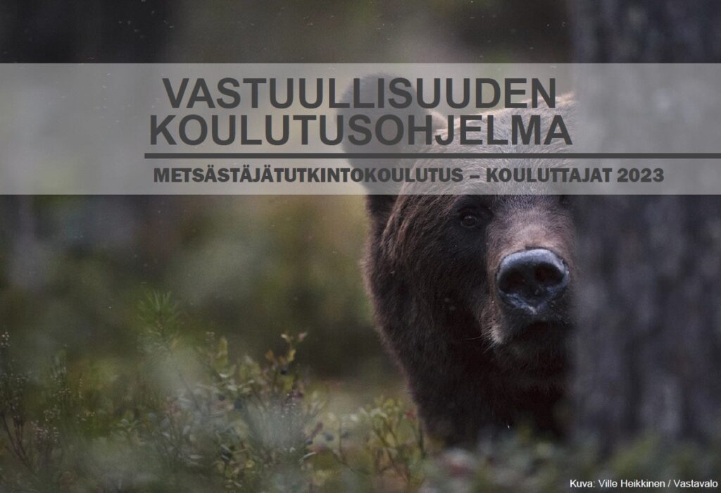 Vastuullisuuden koulutusohjelma - karhu katsoo kuvaajaa.