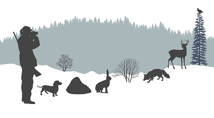 En jägare tittar på en orre med kikaren. På bilden en tax, hare, räv och en vitsvanshjort. Grandunge i bakgrunden.