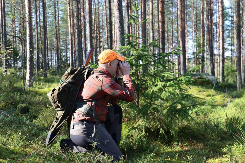 En jägare, orangefärgad skärmmössa, vapnet på ryggen i vapen-/hölsterryggsäcken. Jägaren är knästående och tittar genom kikaren.