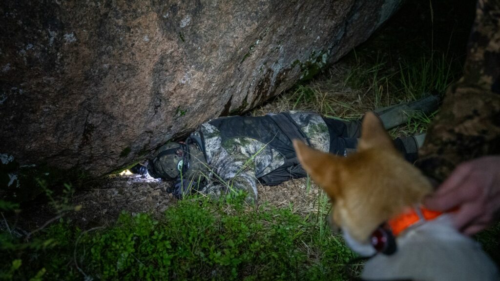 En jägare avlivar en mårdhund under stenen. Hunden i bakgrunden är kopplad. 